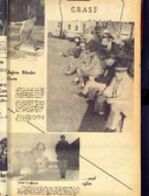 30038-Thumbnail Image.jpg