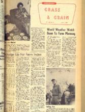 30051-Thumbnail Image.jpg