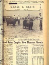 30053-Thumbnail Image.jpg