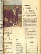 30072-Thumbnail Image.jpg