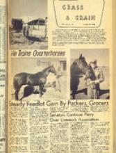 30095-Thumbnail Image.jpg