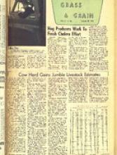 30097-Thumbnail Image.jpg