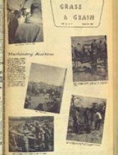 30101-Thumbnail Image.jpg