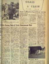 30113-Thumbnail Image.jpg