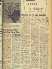 30116-Thumbnail Image.jpg