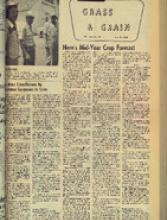 30117-Thumbnail Image.jpg