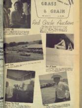 30119-Thumbnail Image.jpg