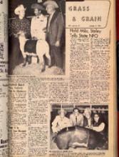 30183-Thumbnail Image.jpg