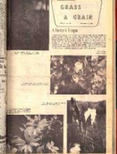 30185-Thumbnail Image.jpg