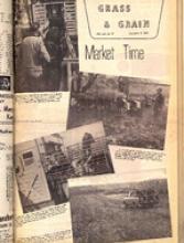 30186-Thumbnail Image.jpg