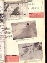 30195-Thumbnail Image.jpg