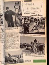 30196-Thumbnail Image.jpg