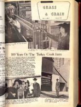 30203-Thumbnail Image.jpg