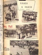 30212-Thumbnail Image.jpg