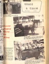 30222-Thumbnail Image.jpg