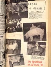 30233-Thumbnail Image.jpg