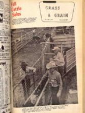 30237-Thumbnail Image.jpg