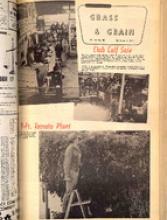 30239-Thumbnail Image.jpg