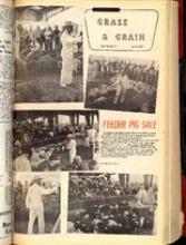 30268-Thumbnail Image.jpg