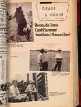 30282-Thumbnail Image.jpg