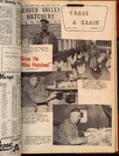 30294-Thumbnail Image.jpg