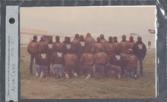 Color photograph of twenty-three individuals posing outside for a photo, with their backs to the camera.